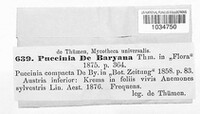 Puccinia debaryana image